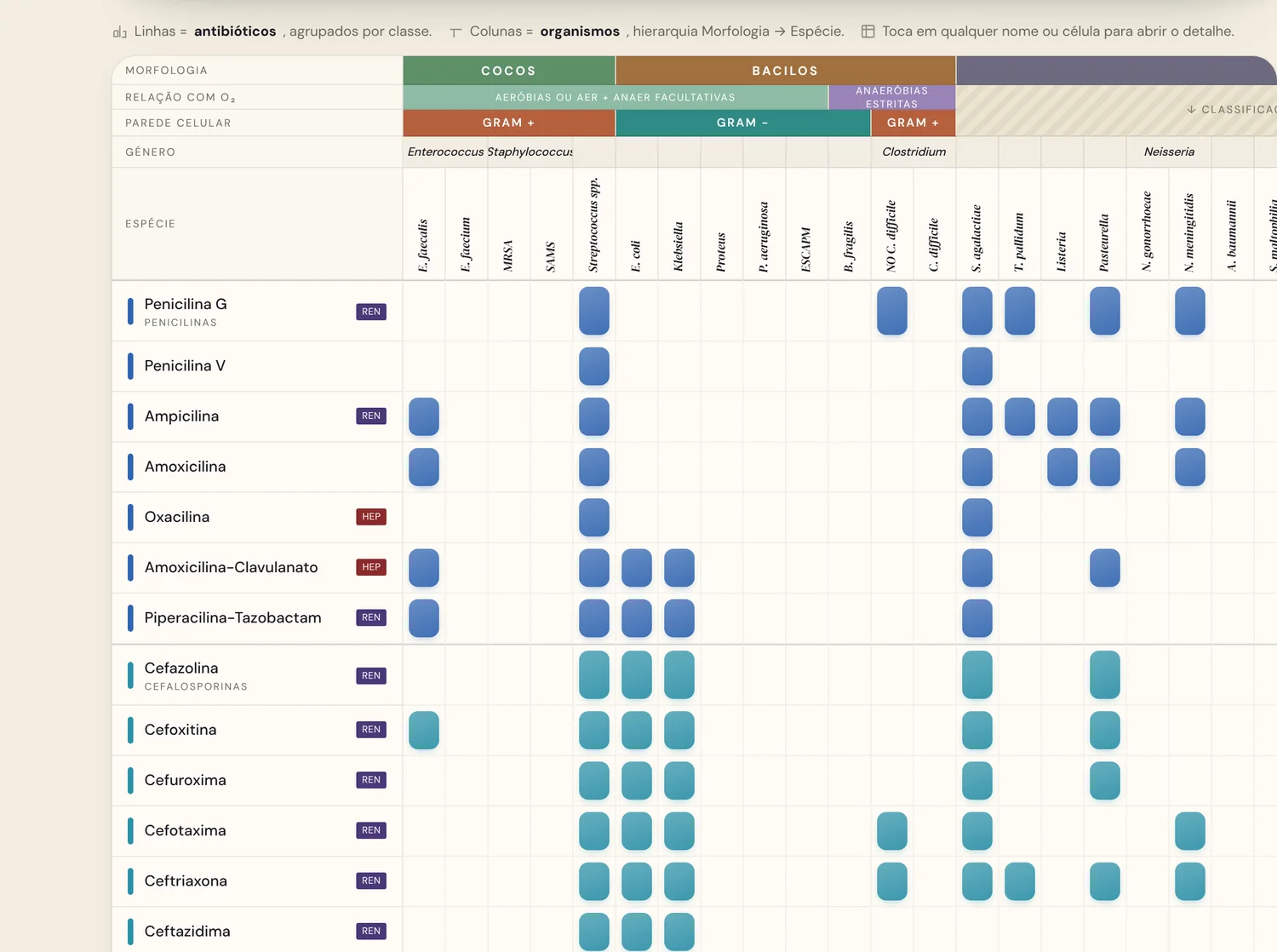 Matriz de espectro dos antibióticos